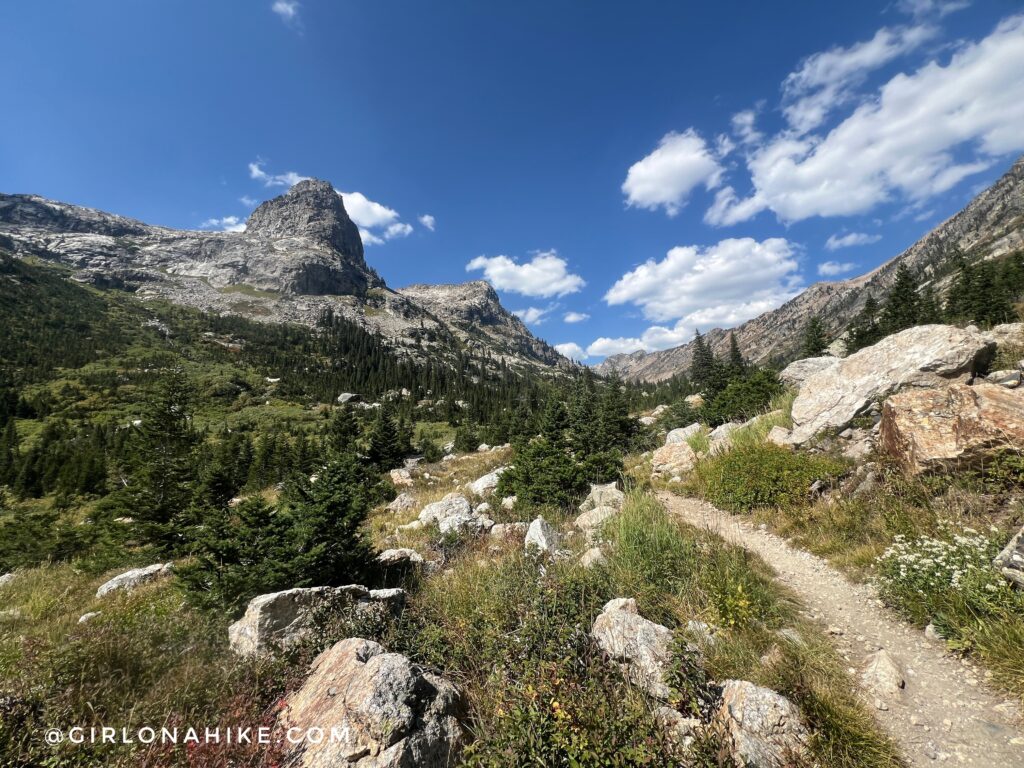 Running the Teton Crest Trail - In One Day!