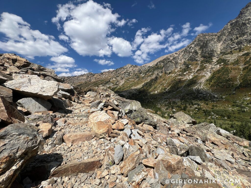 Running the Teton Crest Trail - In One Day!