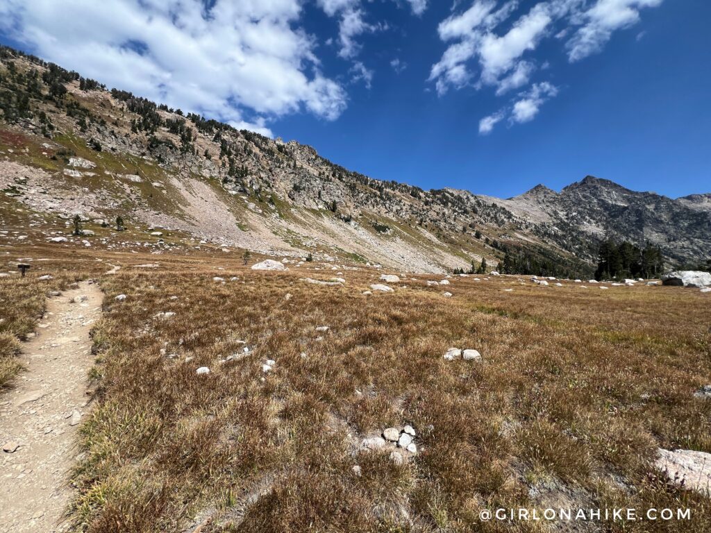 Running the Teton Crest Trail - In One Day!