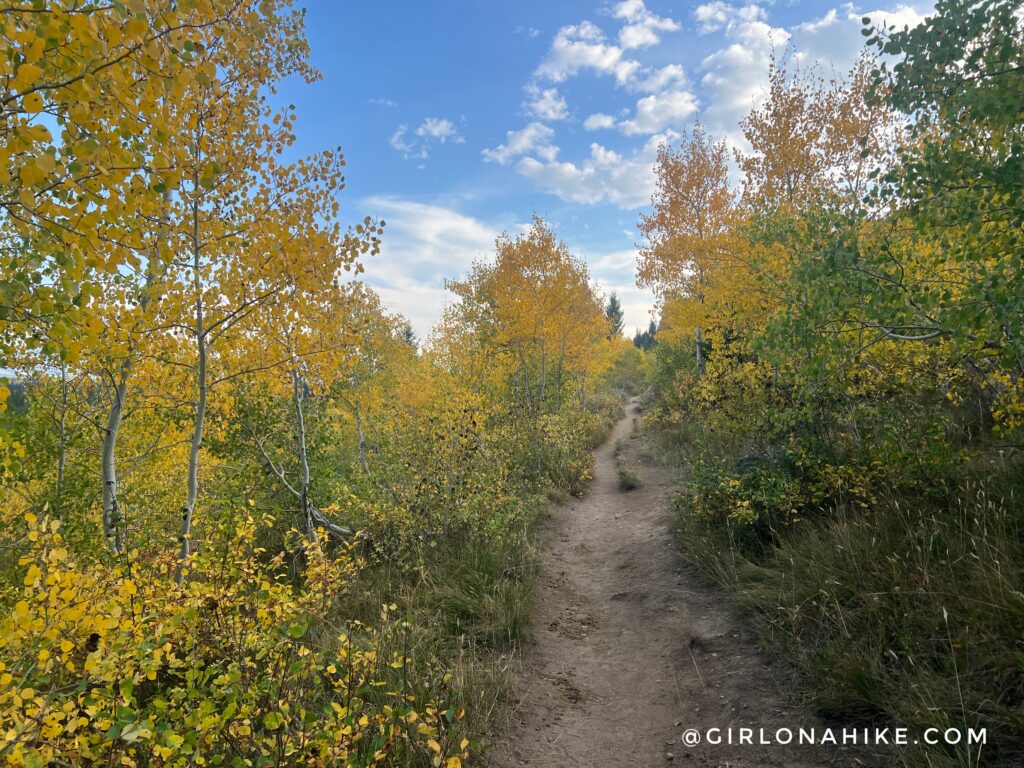 Running the Teton Crest Trail - In One Day!