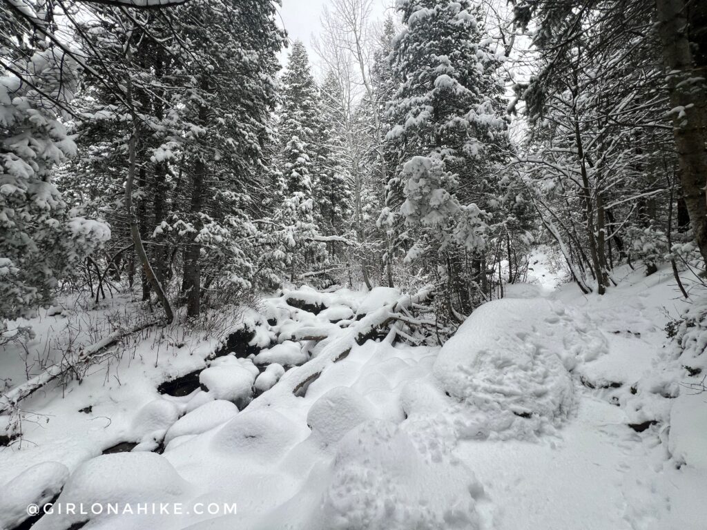 Hiking to Bells Canyon Waterfall