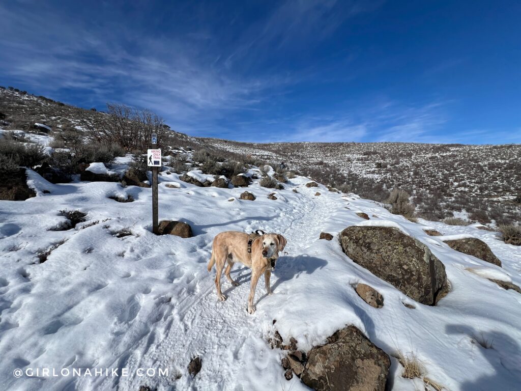 Hiking to Skyridge Peak - Park City, Utah