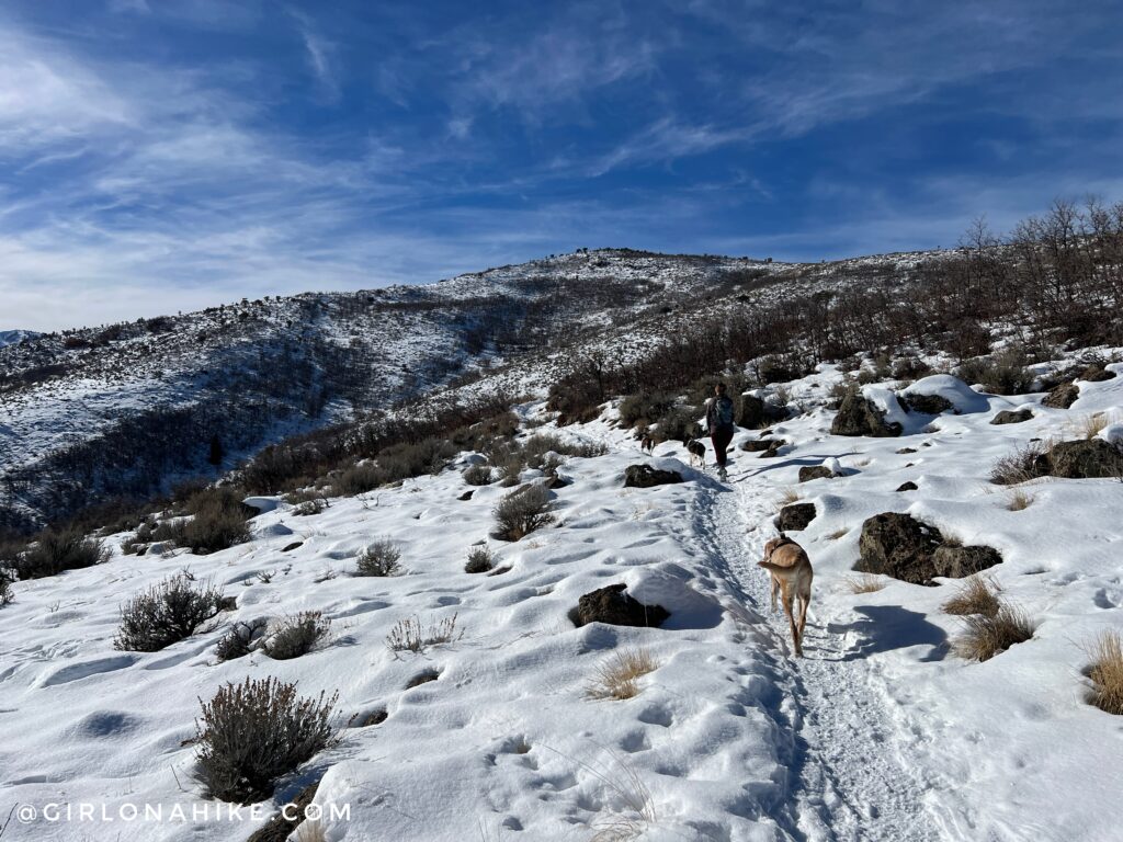 Hiking to Skyridge Peak - Park City, Utah