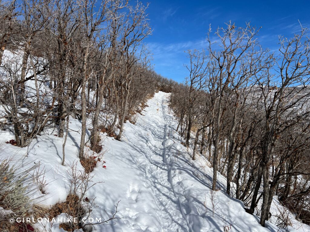 Hiking to Skyridge Peak - Park City, Utah