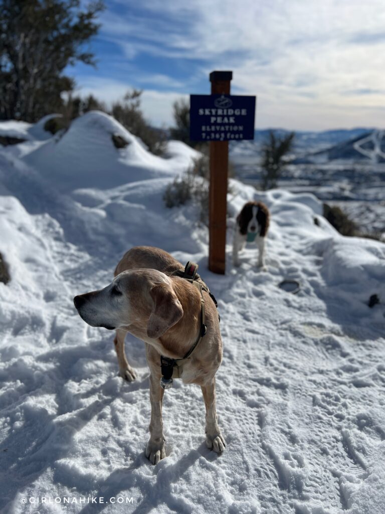 Hiking to Skyridge Peak - Park City, Utah