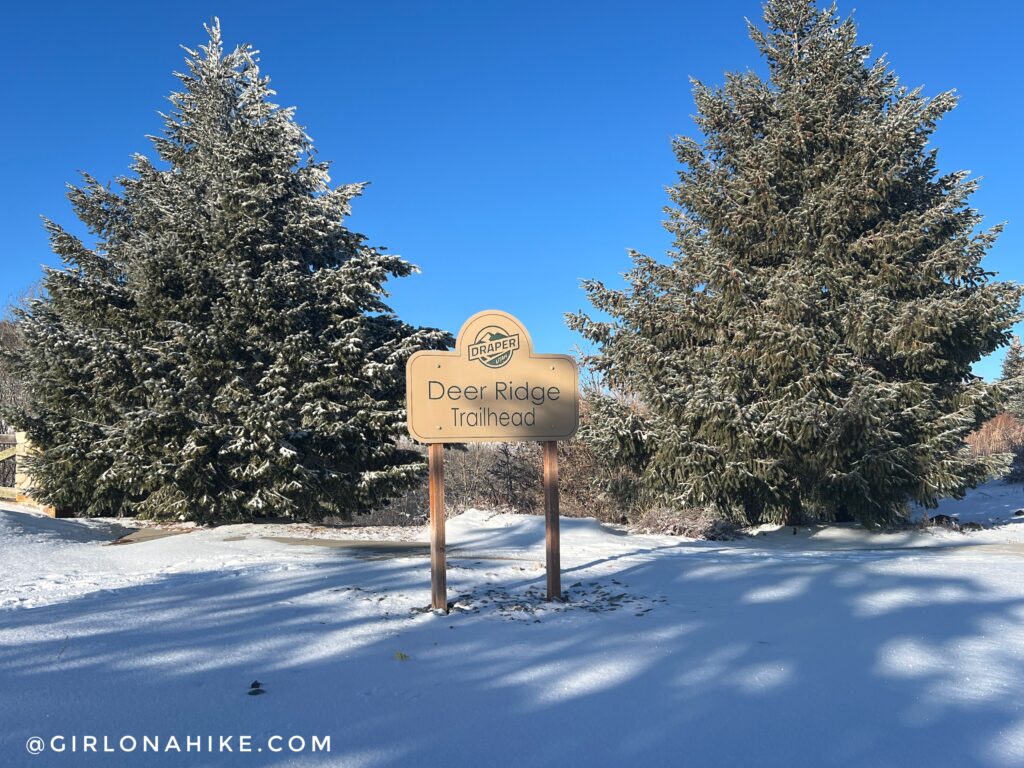 Hiking at the Deer Ridge Off Leash Area