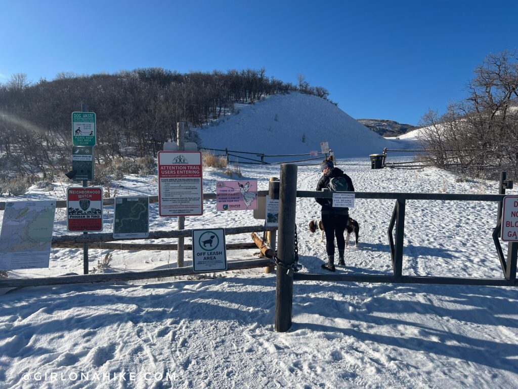 Hiking at the Deer Ridge Off Leash Area, Alien Tower