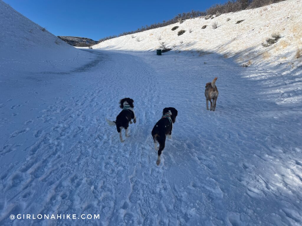 Hiking at the Deer Ridge Off Leash Area, Alien Tower