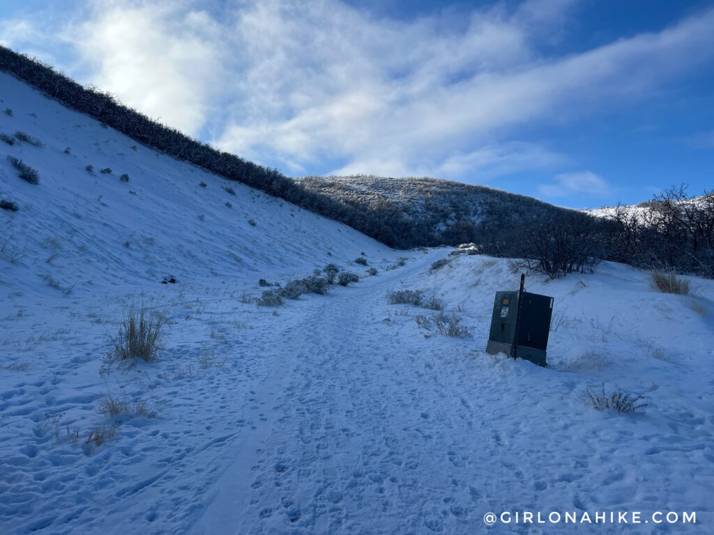 Hiking at the Deer Ridge Off Leash Area, Alien Tower