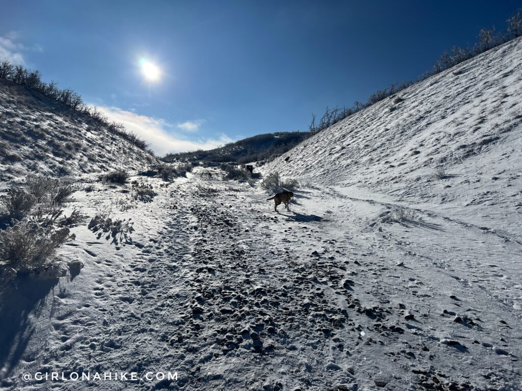 Hiking at the Deer Ridge Off Leash Area, Alien Tower