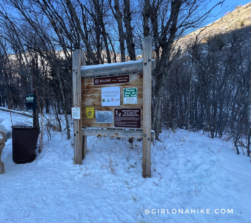 Hiking to Rattlesnake Gulch, Millcreek Canyon