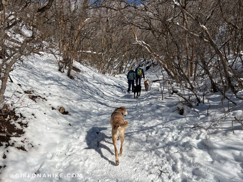 Hiking to Rattlesnake Gulch, Millcreek Canyon