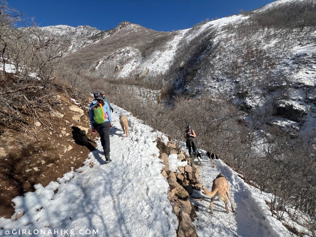 Hiking to Rattlesnake Gulch, Millcreek Canyon