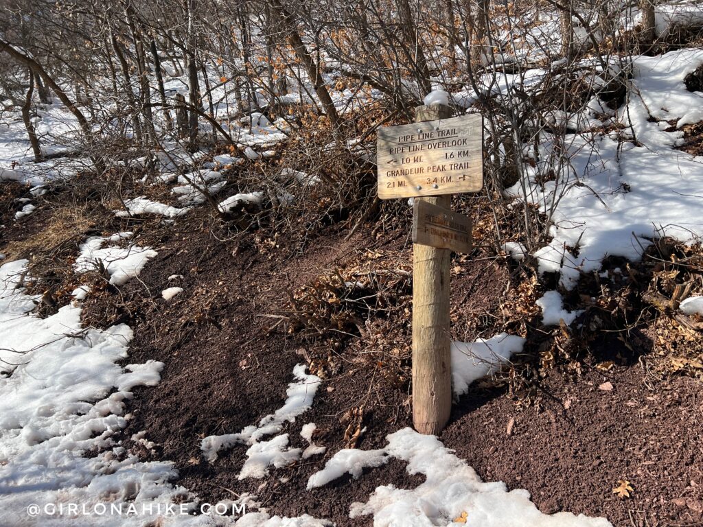 Hiking to Rattlesnake Gulch, Millcreek Canyon