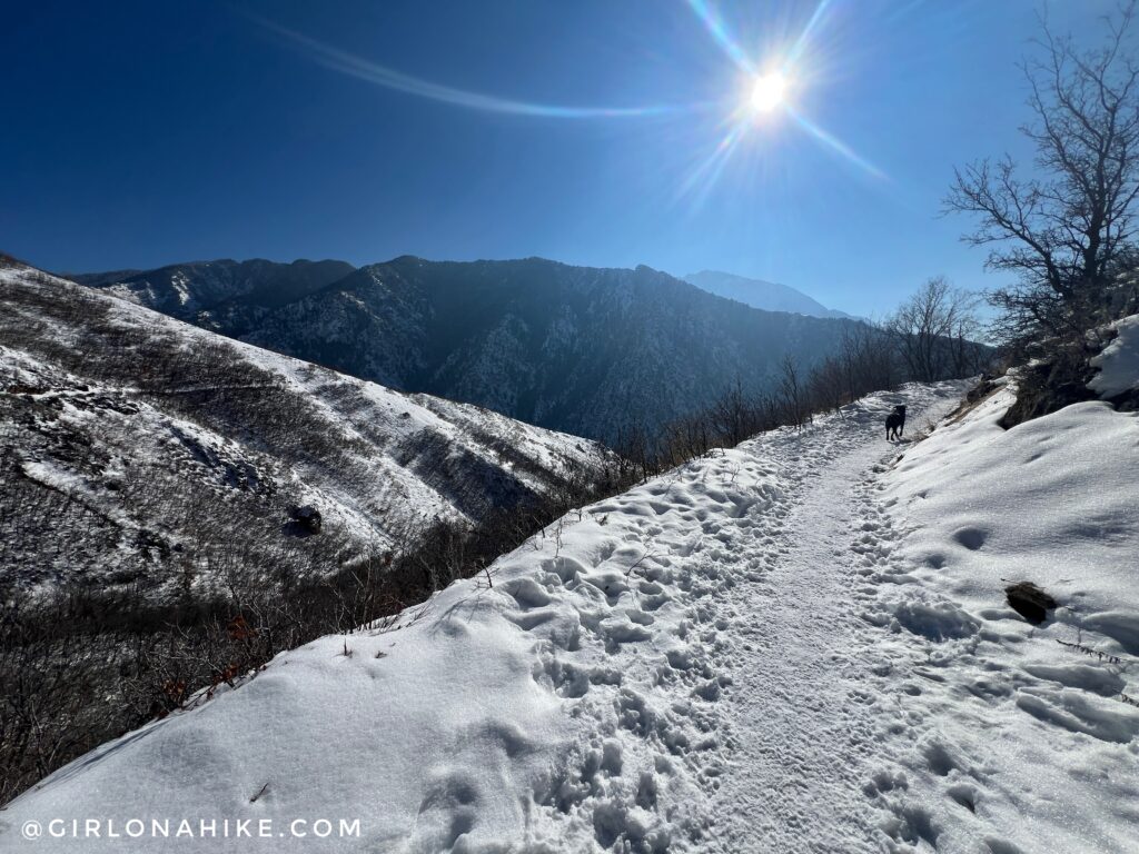 Hiking to Rattlesnake Gulch, Millcreek Canyon