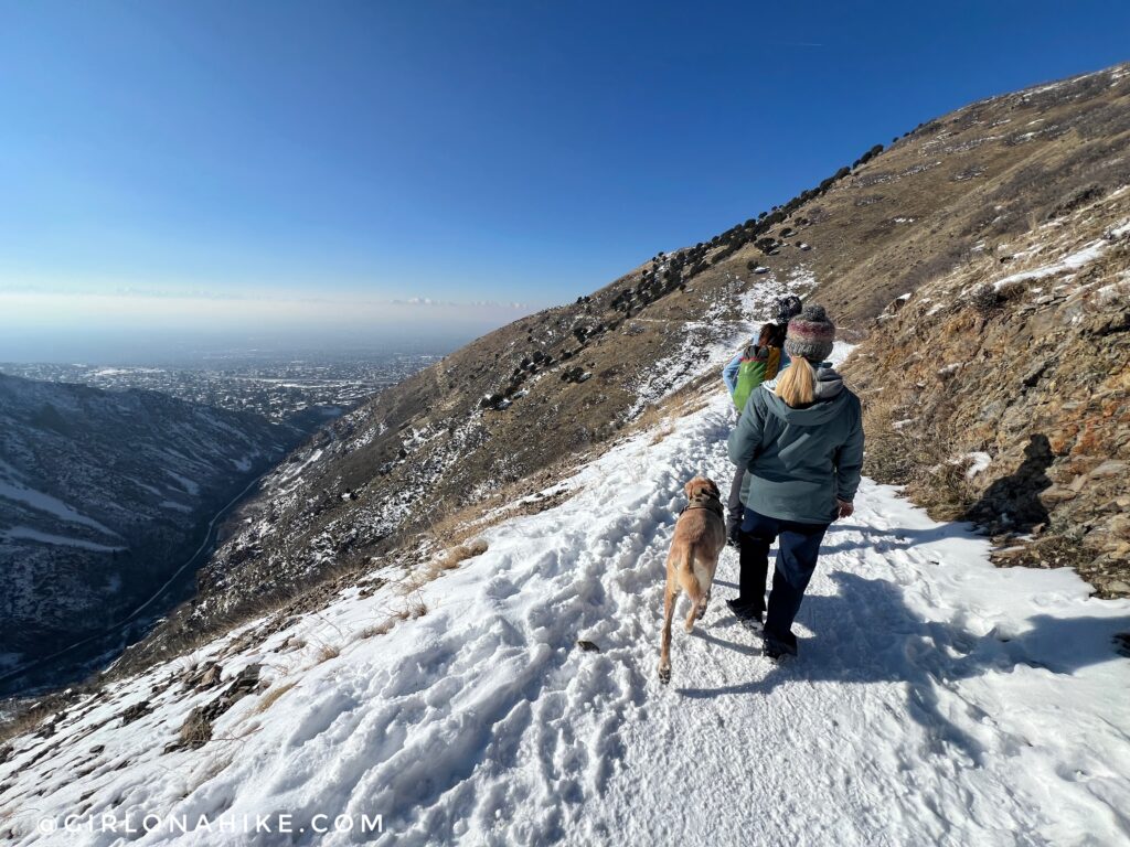 Hiking to Rattlesnake Gulch, Millcreek Canyon