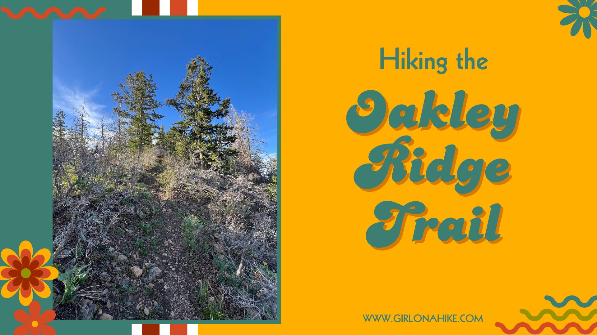 Oakley Ridge Trail utah