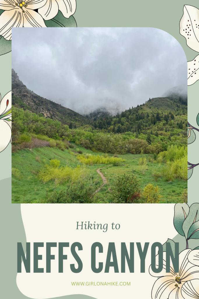 Hiking Neff's Canyon