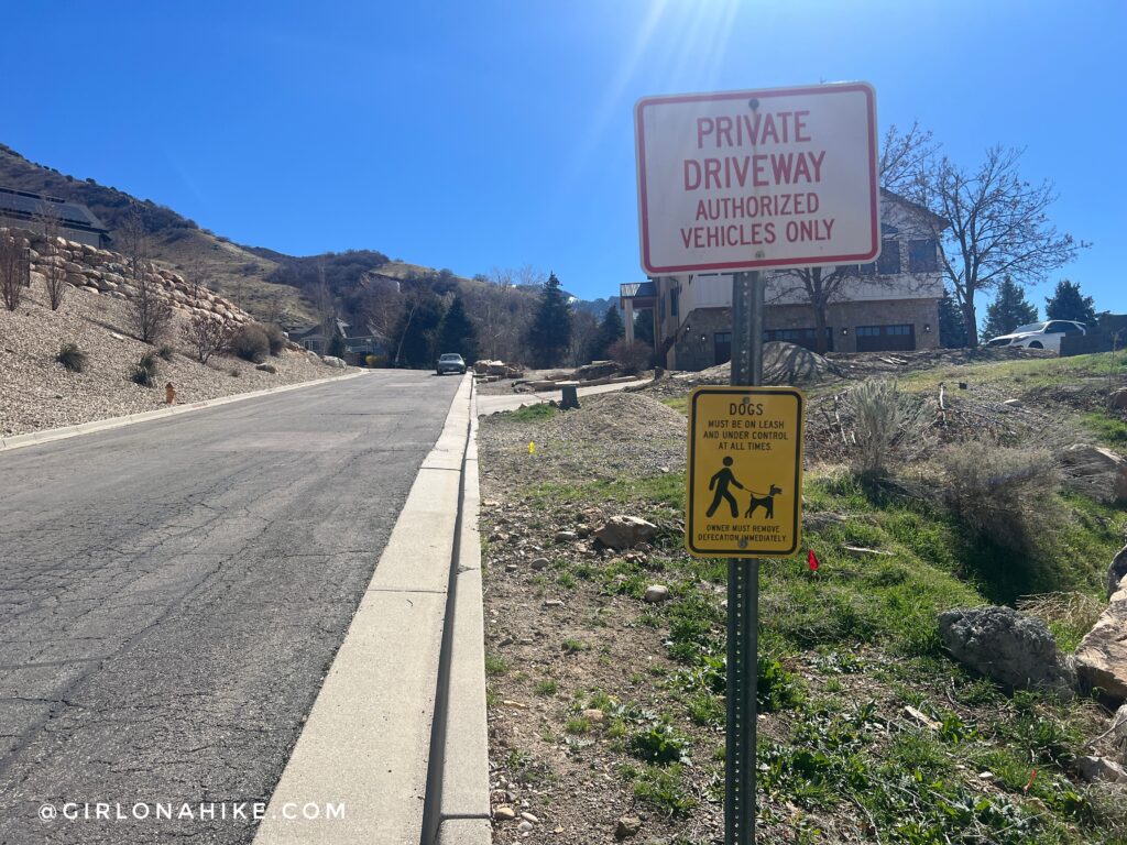 dogs on leash on the road sign
