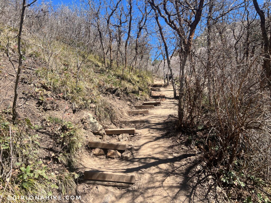 stairs leading up a dirt path