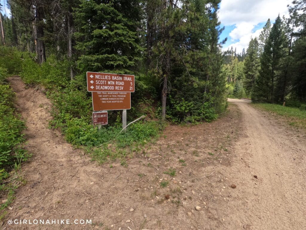 Trail junction for Nellies Basin Trail and Deadwood Reservoir
