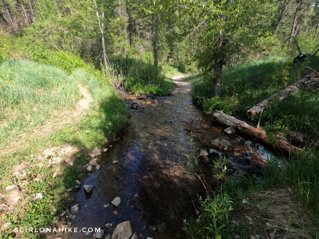 Creek crossing along the Julie Creek Trail in Idaho