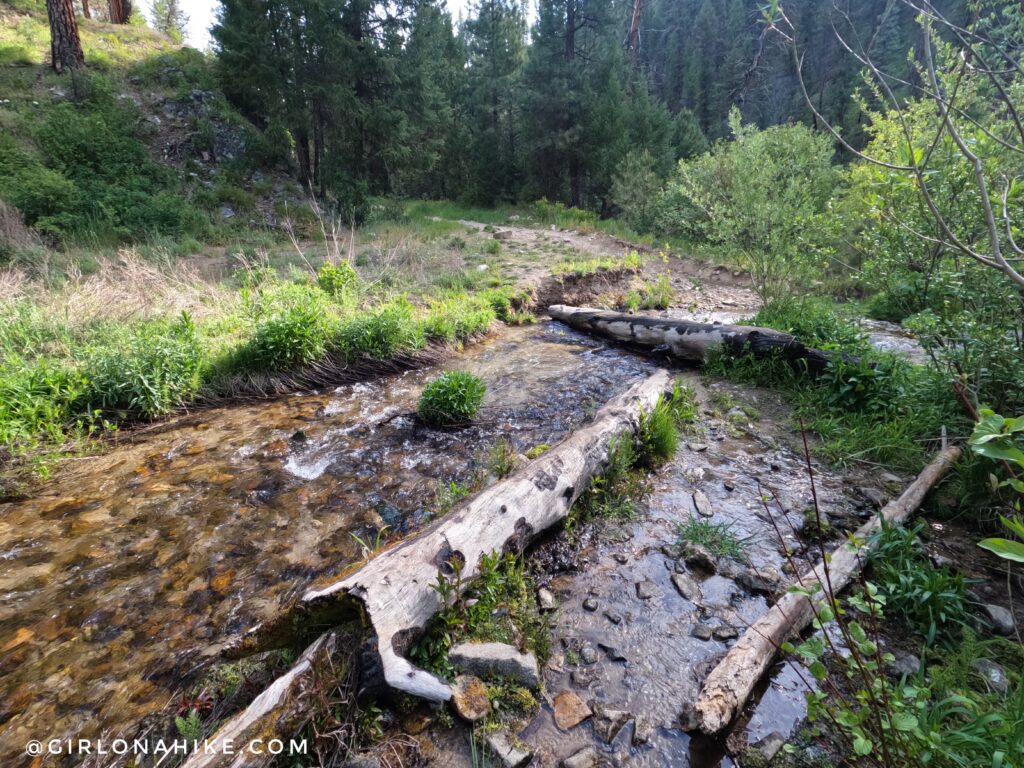 Spring runoff conditions on the Julie Creek Trail