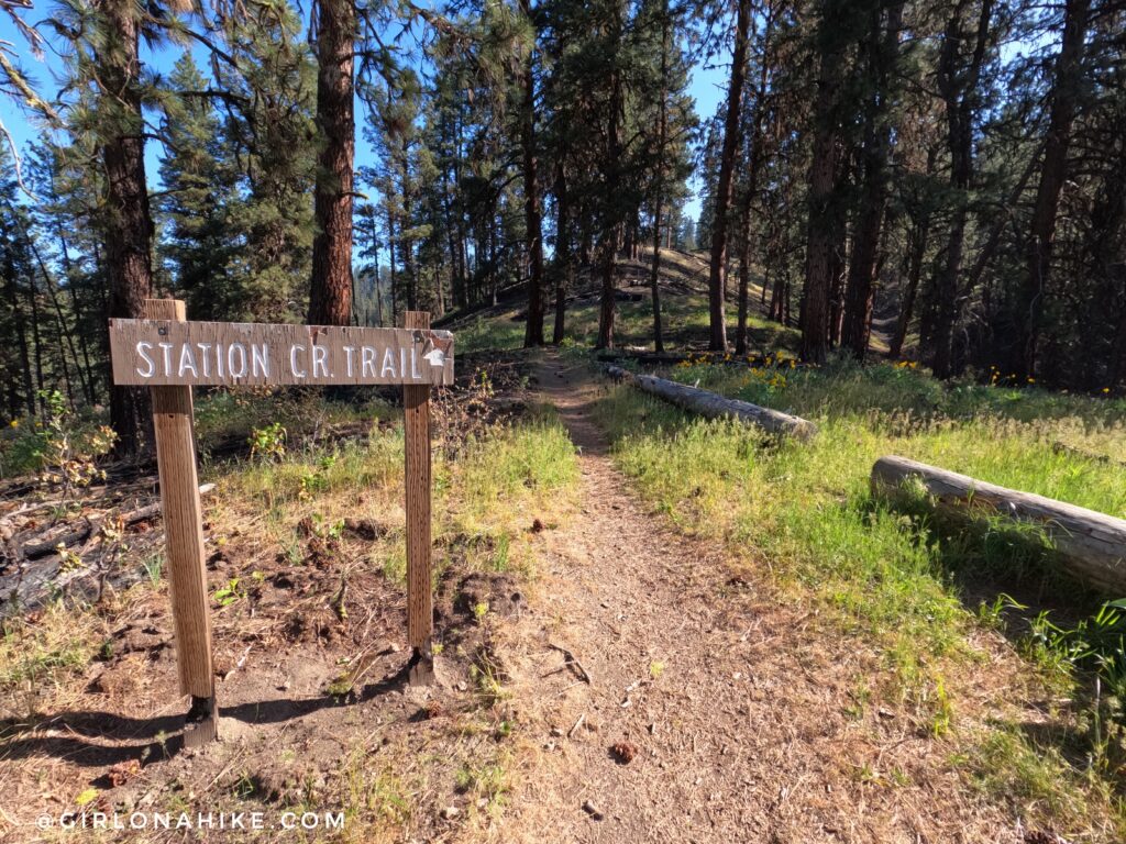 Trail sign along Station Creek Trail near Crouch Idaho