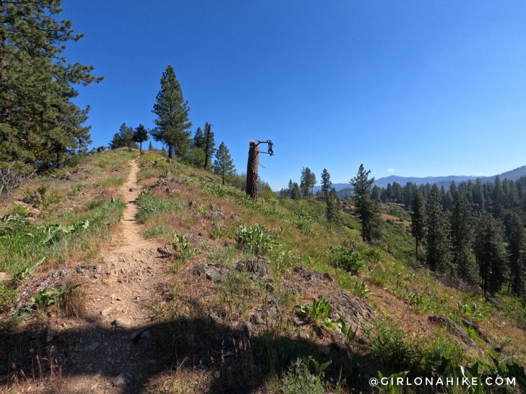 Valley views from upper Station Creek Trail Idaho