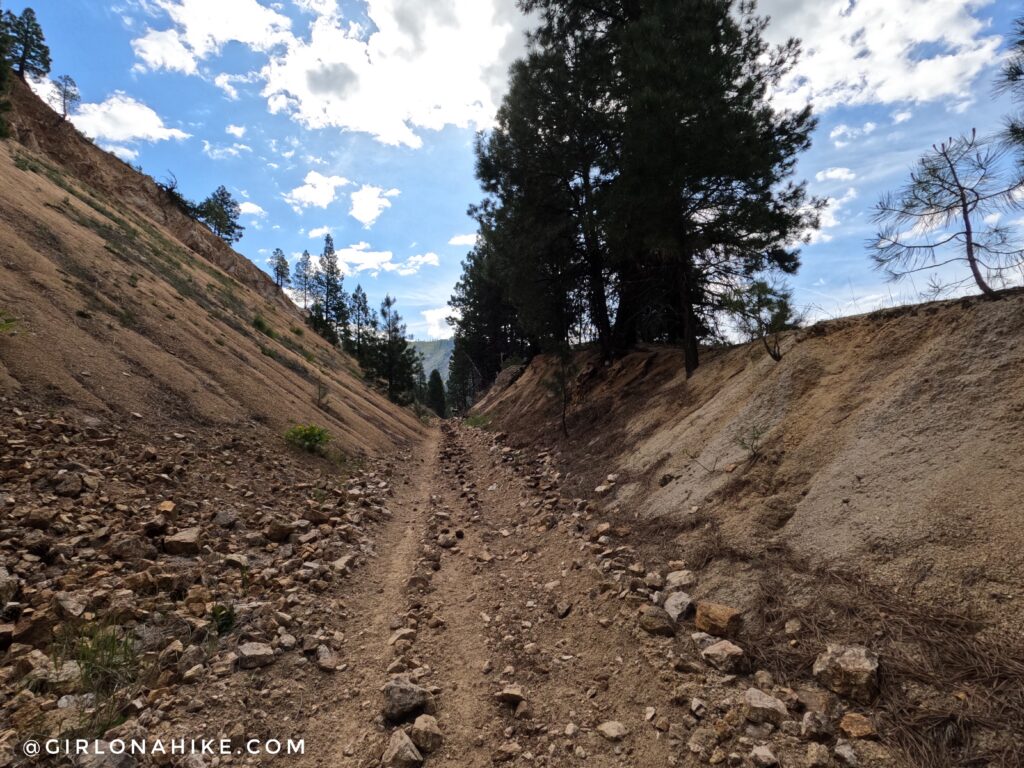 Rocky but runnable section of the Julie Creek Trail