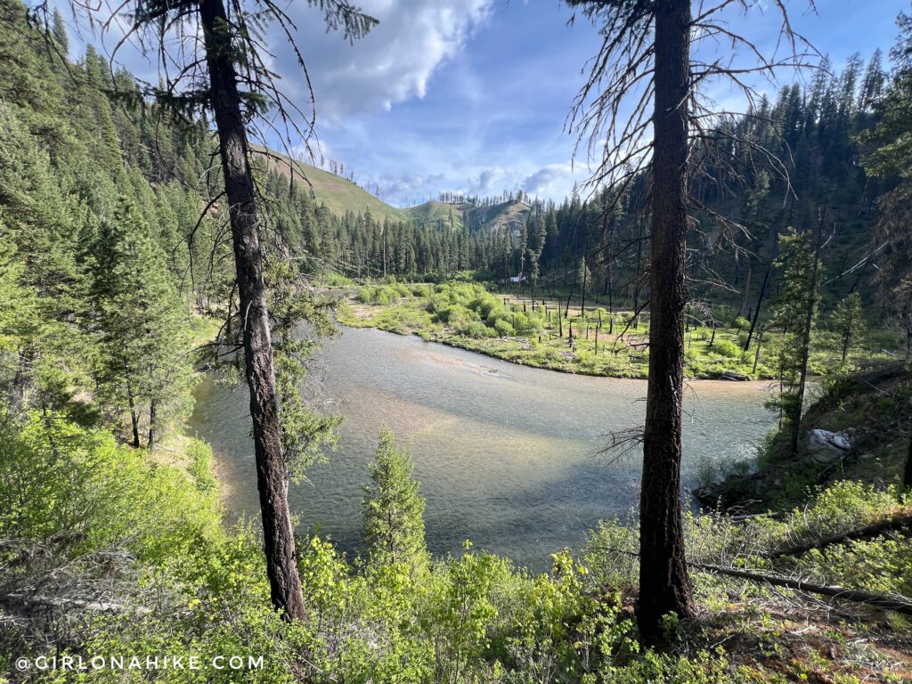 View of Pigeon Flat from the Julie Creek Trail