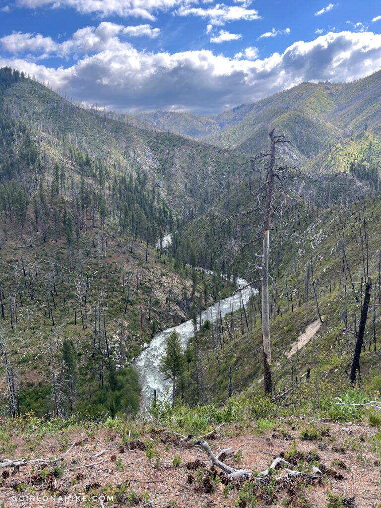 Deadwood River canyon views from the Julie Creek Trail