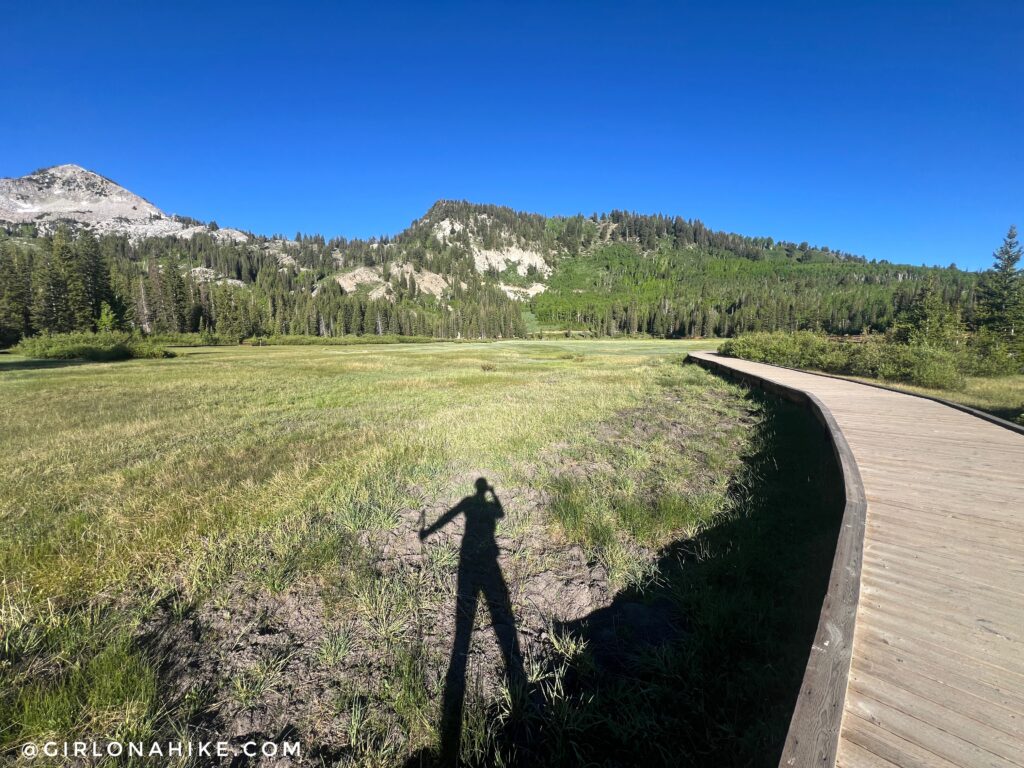 Boardwalk near Silver Lake and Solitude Nordic Center trailhead in Big Cottonwood Canyon Utah