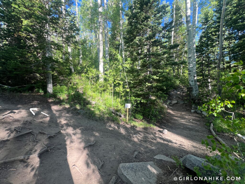 Twin Lakes Trail junction above Silver Lake in Big Cottonwood Canyon