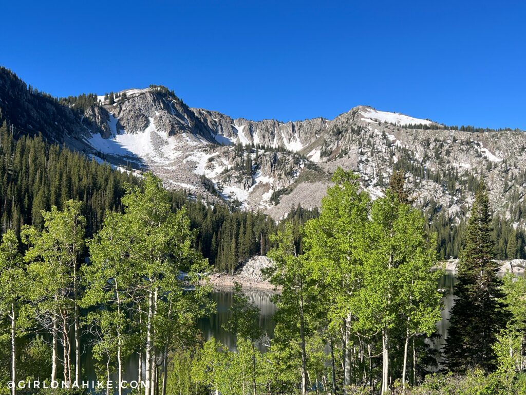 Twin Lakes Reservoir with Patsy Marley Peak and Mount Tuscarora in the background