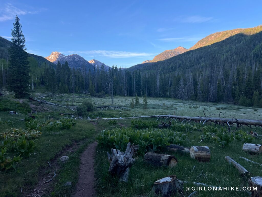 Early morning start on the Ryder Lake Trail in the High Uintas