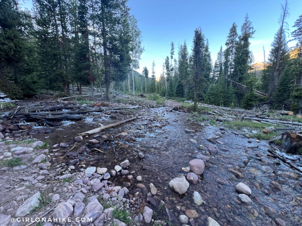 Stream crossing on the Ryder Lake Trail in Utah's High Uintas Wilderness