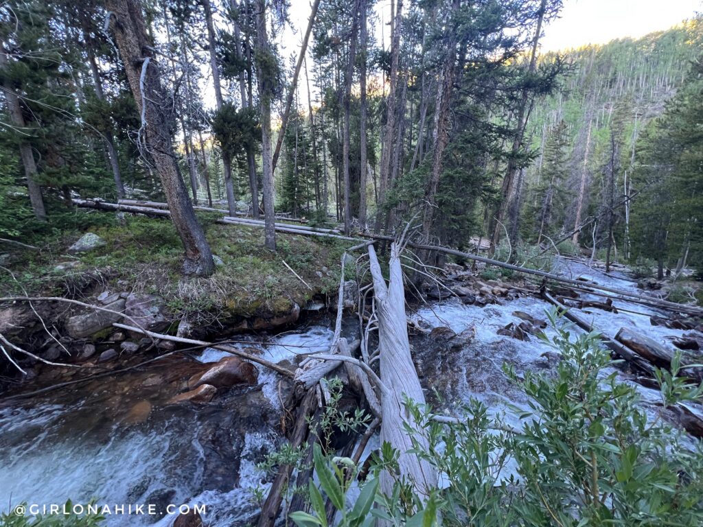 Creek crossing along the Ryder Lake hiking trail Utah