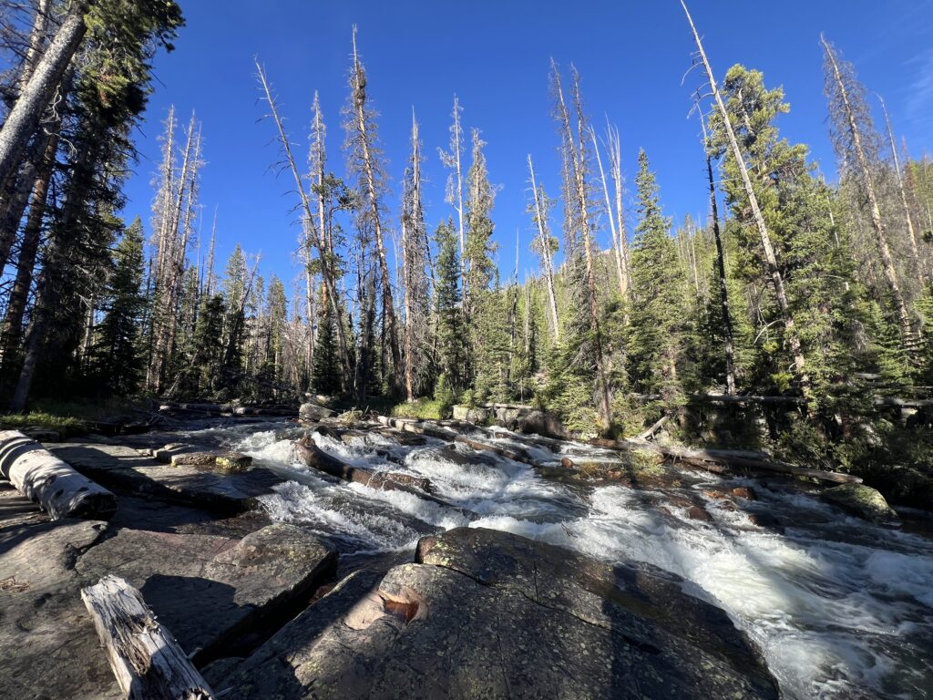 Small cascade and water source