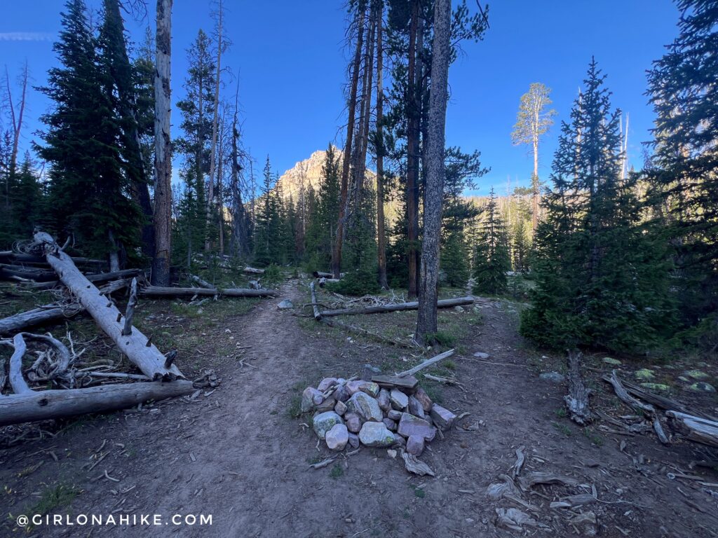Ryder Lake and Kermsuh Lake trail junction