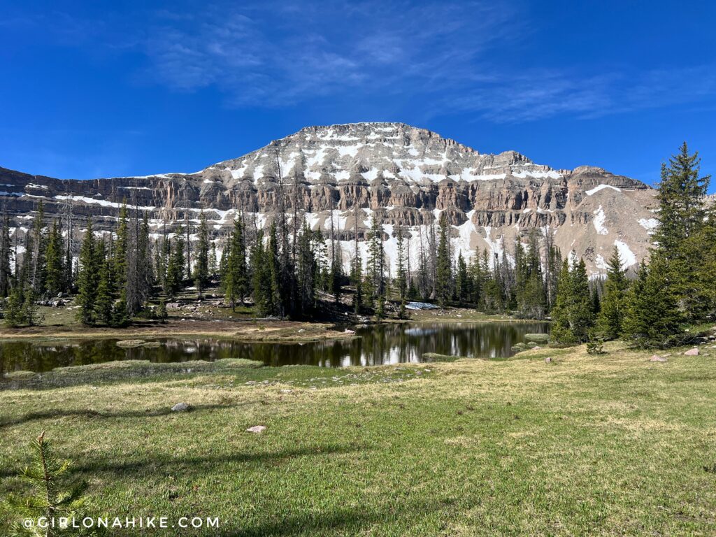 Small alpine ponds near Ryder Lake in the High Uintas