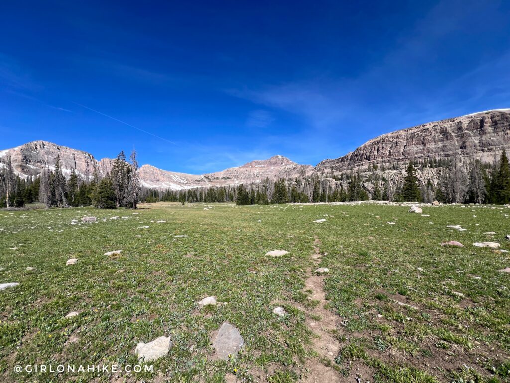 Hayden Peak viewed from the Ryder Lake Trail Utah