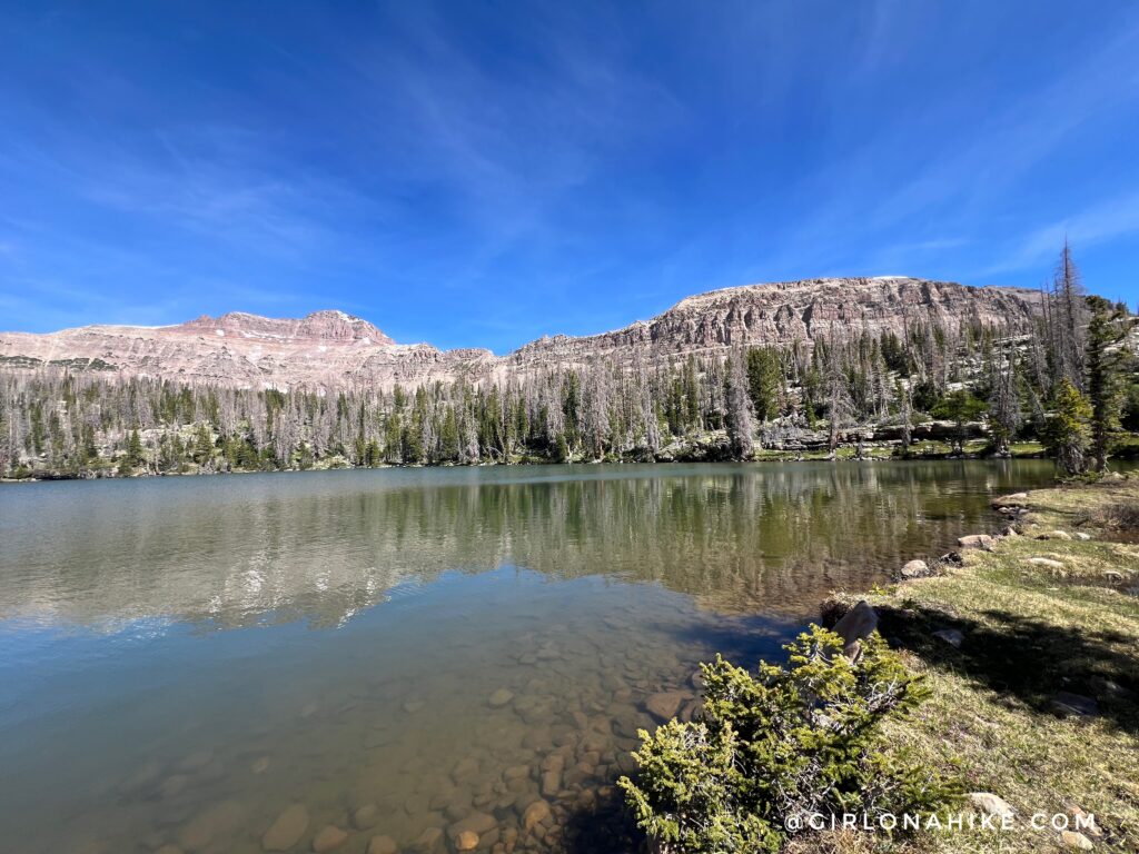 Crystal clear water at Ryder Lake