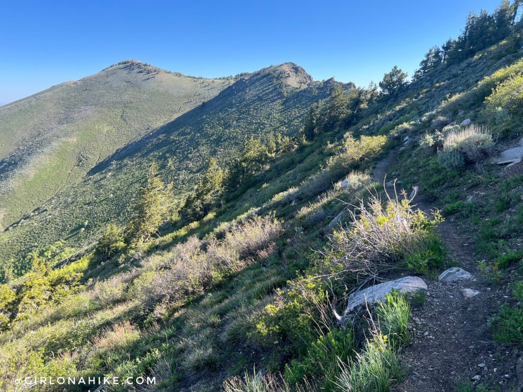Single-track trail