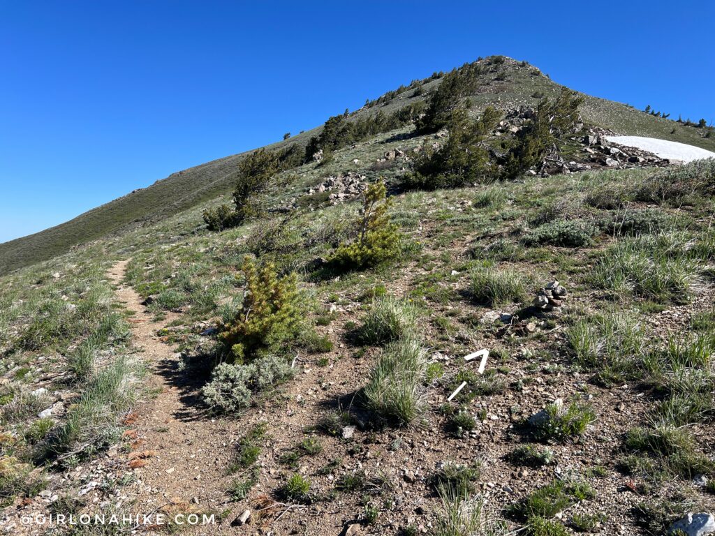 Large cairn marking the turnoff to Thurston Peak summit trail