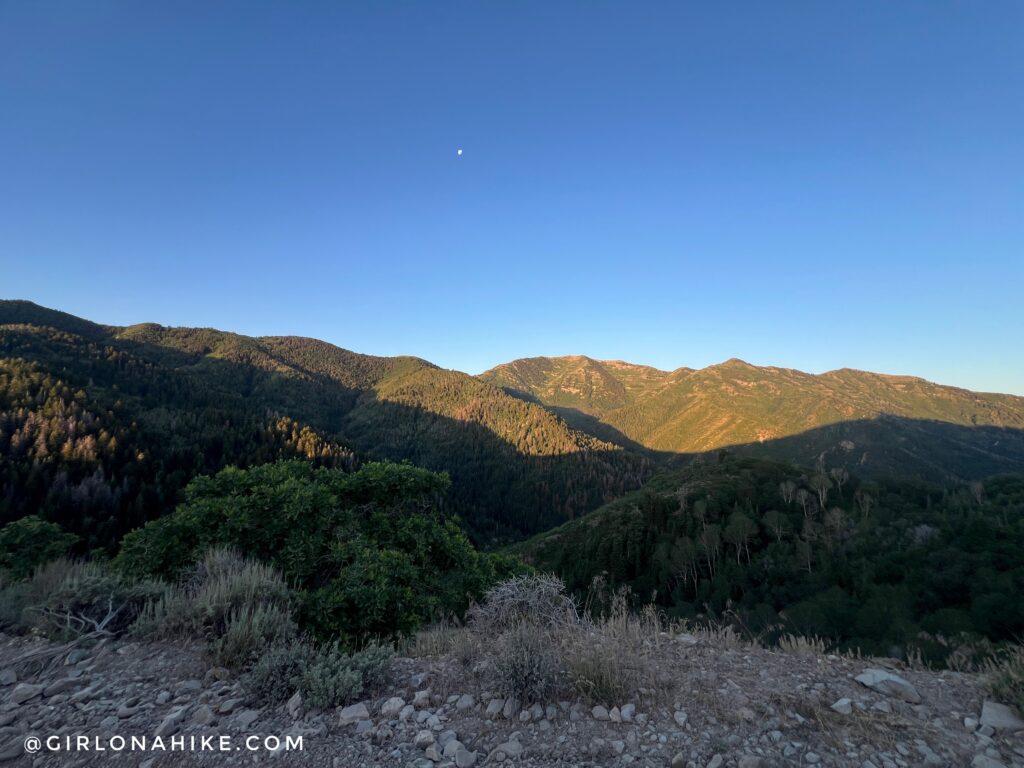 Morning light on Kelsey Peak and White Pine Peak