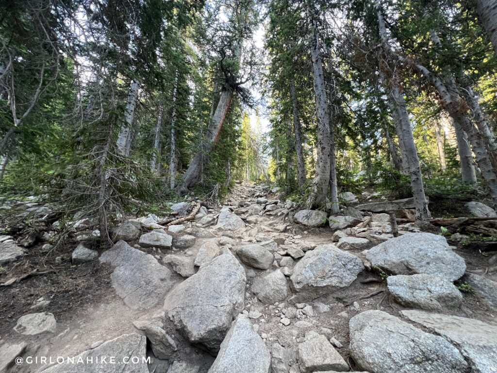 trail leading up a steep, rocky pathway
